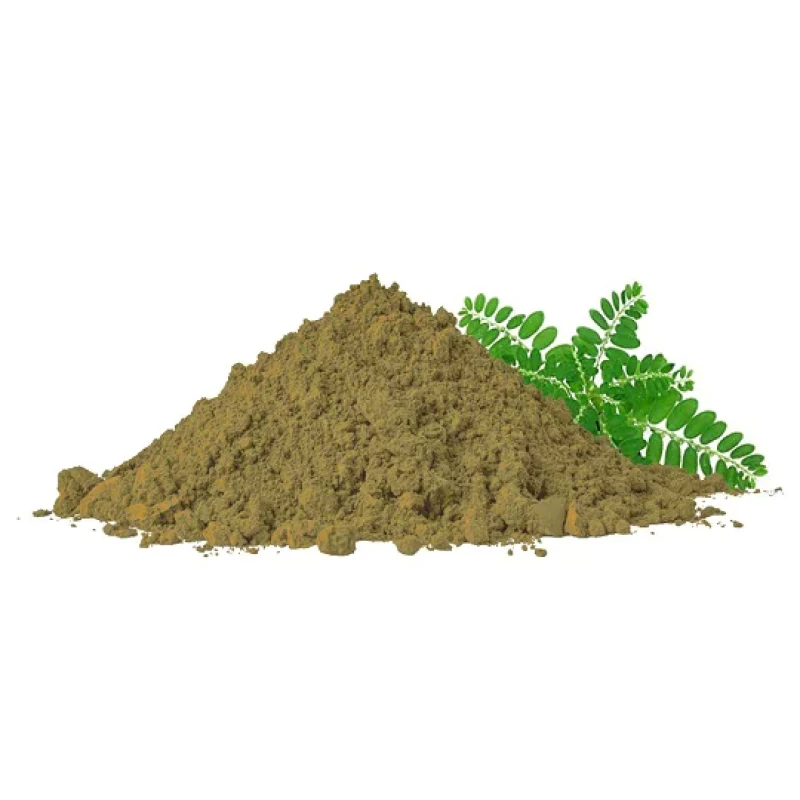 Bhumi Amla Powder