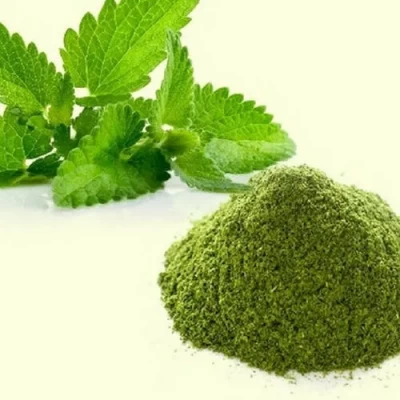 MINT LEAF OR PUTHINA LEAF POWDER